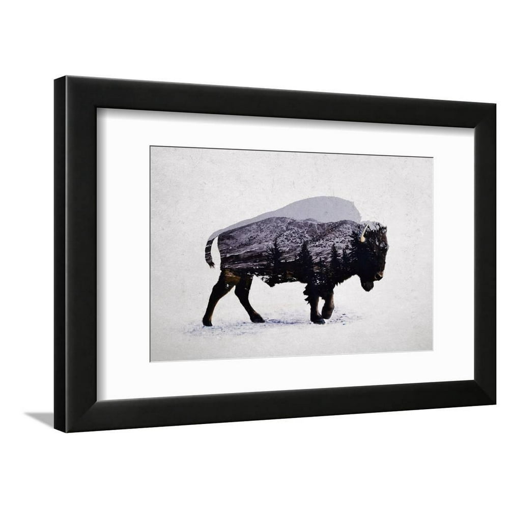 The American Bison Framed Print Wall Art By Davies Babies