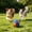 XS, variant on Herding Ball for Dogs, Herding Toy with Protective Cover, Durable Giant Dog Ball for Australian Shepherd, Cattle Dog, Border Collie for Outdoor Play, Exercise Ball for Training and Agility