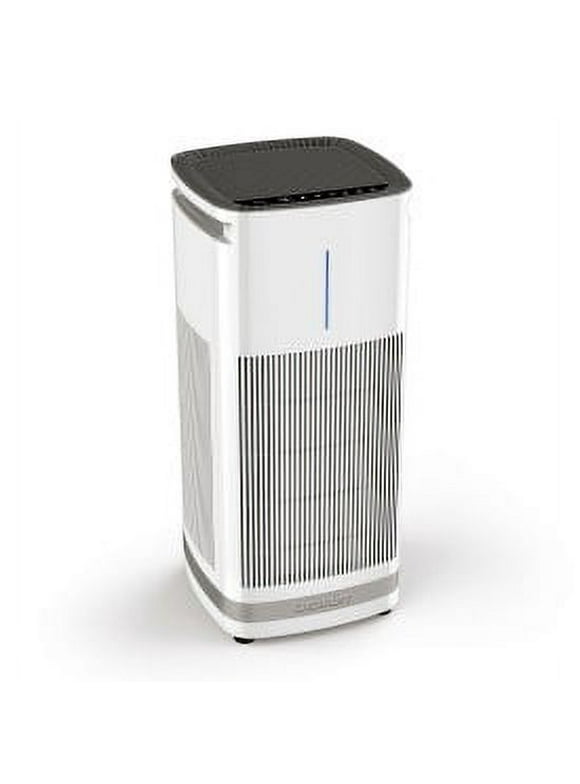 Air Purifiers with Washable Filters in Air Purifiers