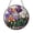 Acrylic 3.5 Inch, variant on Iris Flower Stained Glass Suncatcher Window Hanging Featuring Blooming Iris Flowers Botanical Design Decorative Glass Art for Home Interior Window Display with Floral Nature Theme