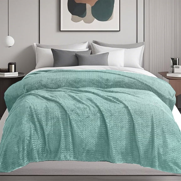 Cinvoph Queen Size Blanket for Bed Soft Lightweight Breathable All Season Comfort Warm & Cozy Bedding for Bedroom Living Room Home Warmth 79"x47" Green