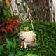 thumbnail image 3 of Mecedora creativa/macetero con cara oscilante maceta suculenta suministros para el jardín y hogar, 3 of 8