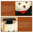 thumbnail image 5 of 14 Inch Doctor Graduation Bear Plush - Blue Doctorate Degree Stuffed Animal, Academic Achievement Gift for Graduates & Students Red, 5 of 9