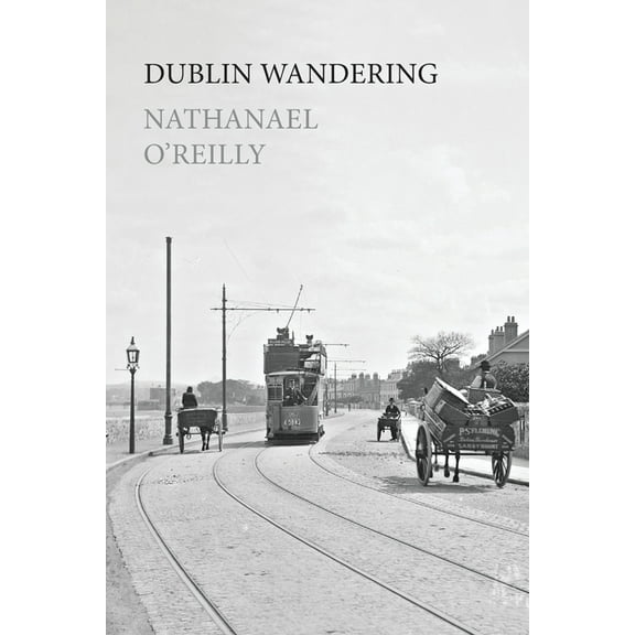 Dublin Wandering, (Paperback)