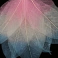 thumbnail image 4 of simhoa 50 Pieces Natural Magnolia Skeleton Leaf Leaves Scrapbooking Pink+Beige+Blue, 4 of 8
