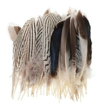 unbranded 60 Pcs Plumes for DIY Holiday Wedding Party Decoration