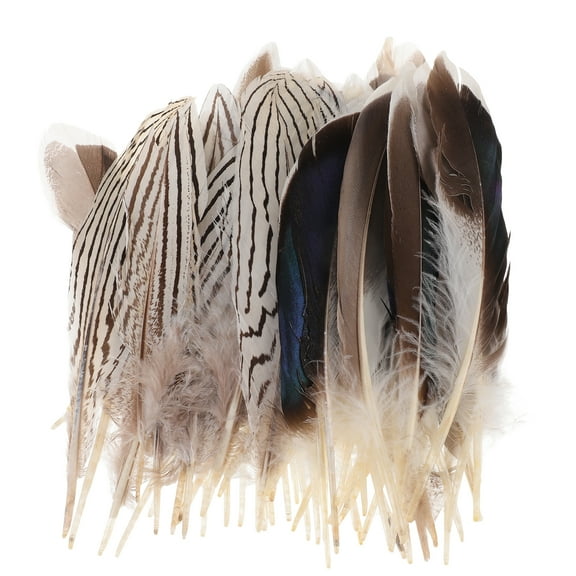 unbranded 60 Pcs Plumes for DIY Holiday Wedding Party Decoration
