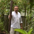 thumbnail image 2 of palo de lluvia 100 cm, palo de agua,  instrumento,  musica, naturaleza, sonidos, indigenas, artesania, mayas, aztecas SABIDURÍA CHAMÁNICA pichilia Artesanal, 2 of 6
