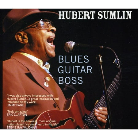 Blues Guitar Boss (Best Blues Guitar Players)