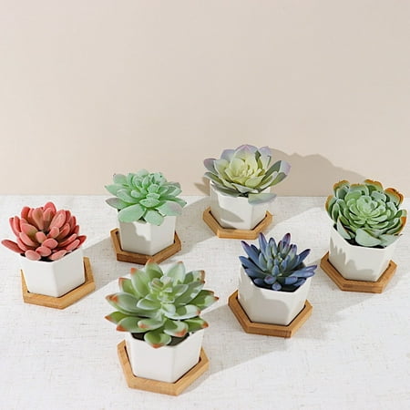 BalsaCircle 6 White 3  Ceramic Flower Plant Pots Geometric Hexagon Mini Planters Home Decorations