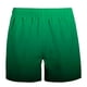 thumbnail image 5 of Pantalones cortos de baño degradados para hombre Pantalones cortos de playa de bolsillo de secado rápido de verano Pantalones cortos hawaianos Pompotops  qyievc7768, 5 of 5