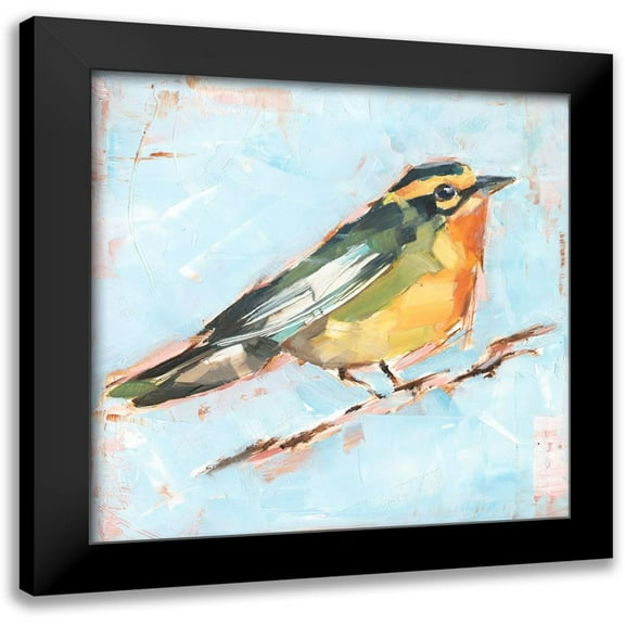 Harper, Ethan 12x12 Black Modern Framed Museum Art Print Titled - Bird Variety IV