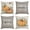 Orange, variant on Sm:)e Thanksgiving Blue Pumpkin Give Thanks Eucalyptus Leaf Fall Throw Pillow Covers 18 x 18 Set of 4