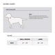 thumbnail image 5 of Collar para perro Carhartt, totalmente ajustable, con correas de nailon reflectantes, 5 of 5