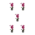 thumbnail image 2 of Orquídea artificial bonsái en maceta Toystoory Phalaenopsis Color brillante planta falsa, 2 of 6
