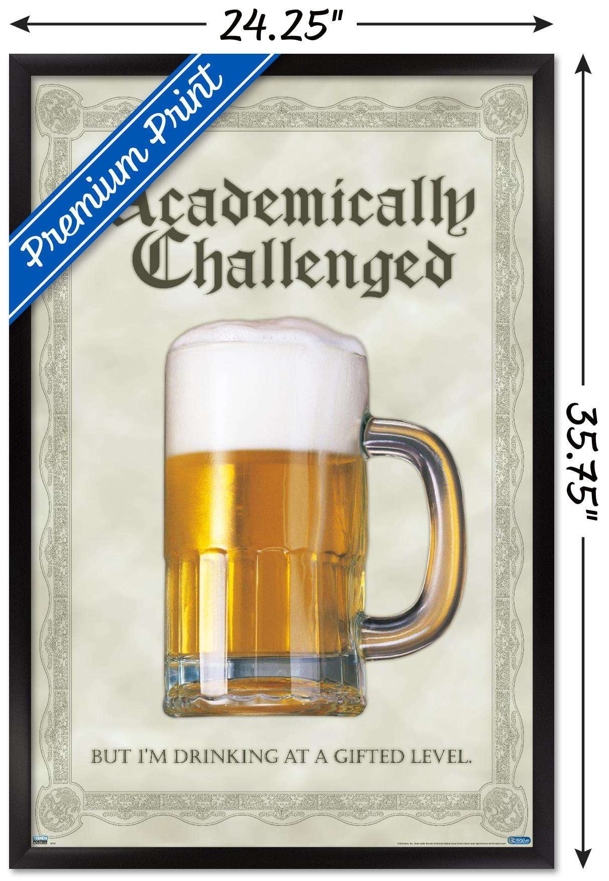 Academically Challenged Wall Poster, 22.375" x 34", Framed