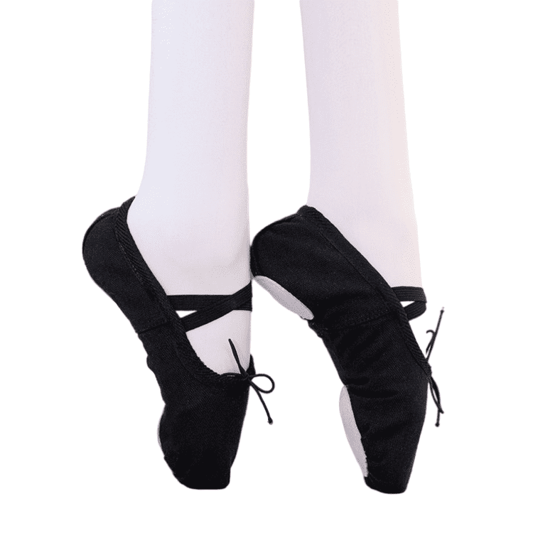 Girls Professional Ballet Pointe Shoes Dance Flats Ballerina Slippers Dancewear 