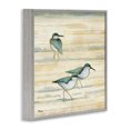 thumbnail image 3 of Stupell Industries Transitional Oceanside Sandpipers Beach Birds Gray Framed Giclee Art, 24 x 24, by Paul Brent, 3 of 8