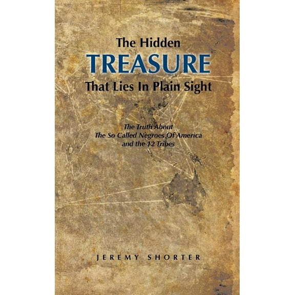 The Hidden Treasure That Lies in Plain Sight (Hardcover)