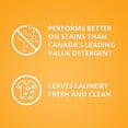 thumbnail image 5 of Arm & Hammer Détergent à Lessive Liquide Parfum Frais à L'Eau Froide, 55 Brassées, 1,63 L, 5 of 5