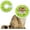 Kiwifruit, variant on Soft Adjustable Cat Cone Collar, Comfortable Recovery Collar for Cats After Surgery