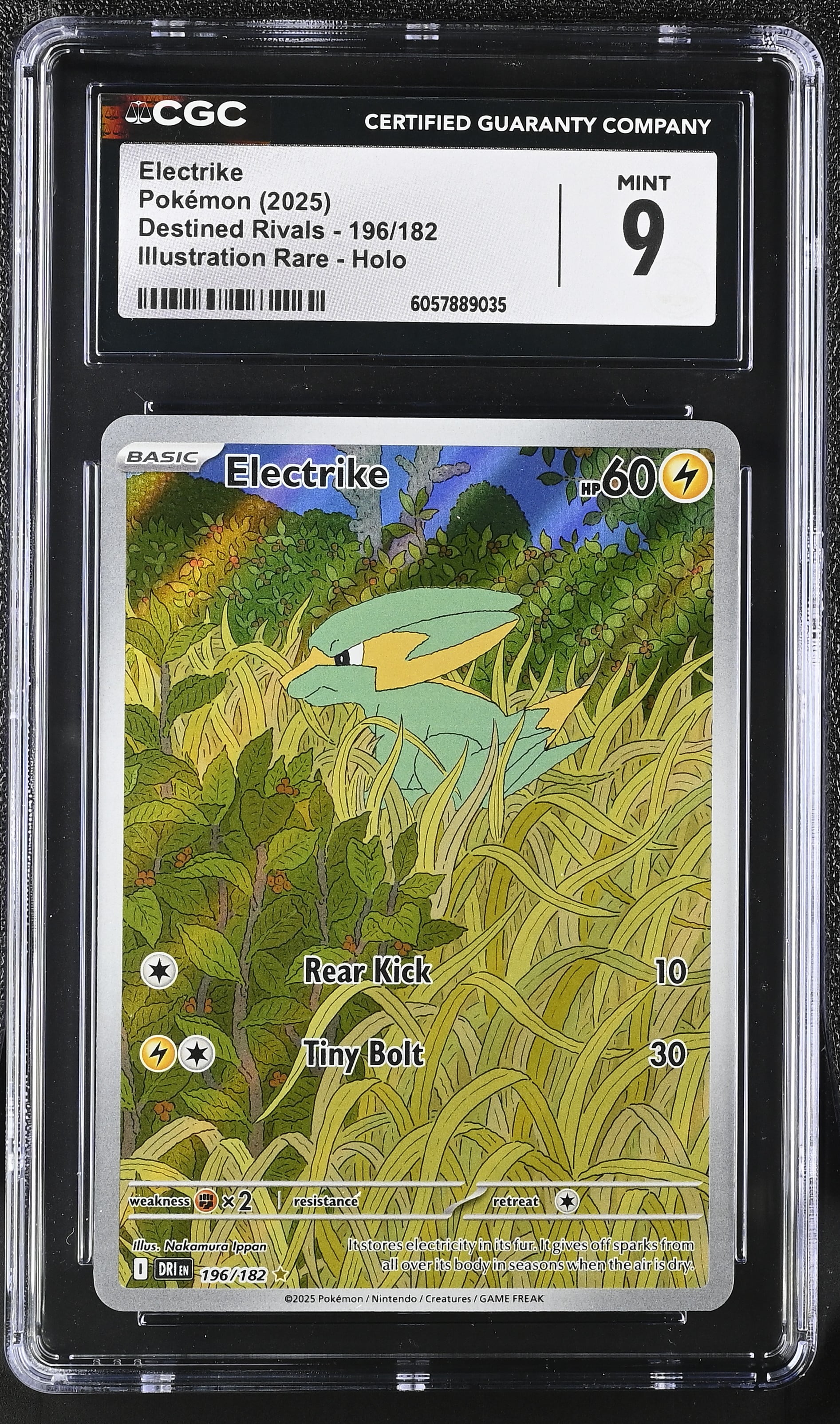 pokemon card blastoise Blastoise-EX XY Pokemon Card