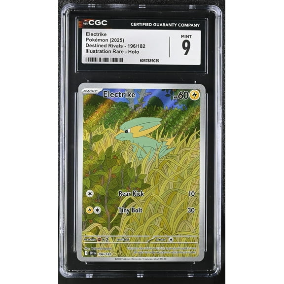 Pokémon Electrike Destined Rivals - 196/182 Illustration Rare Holo CGC Mint 9