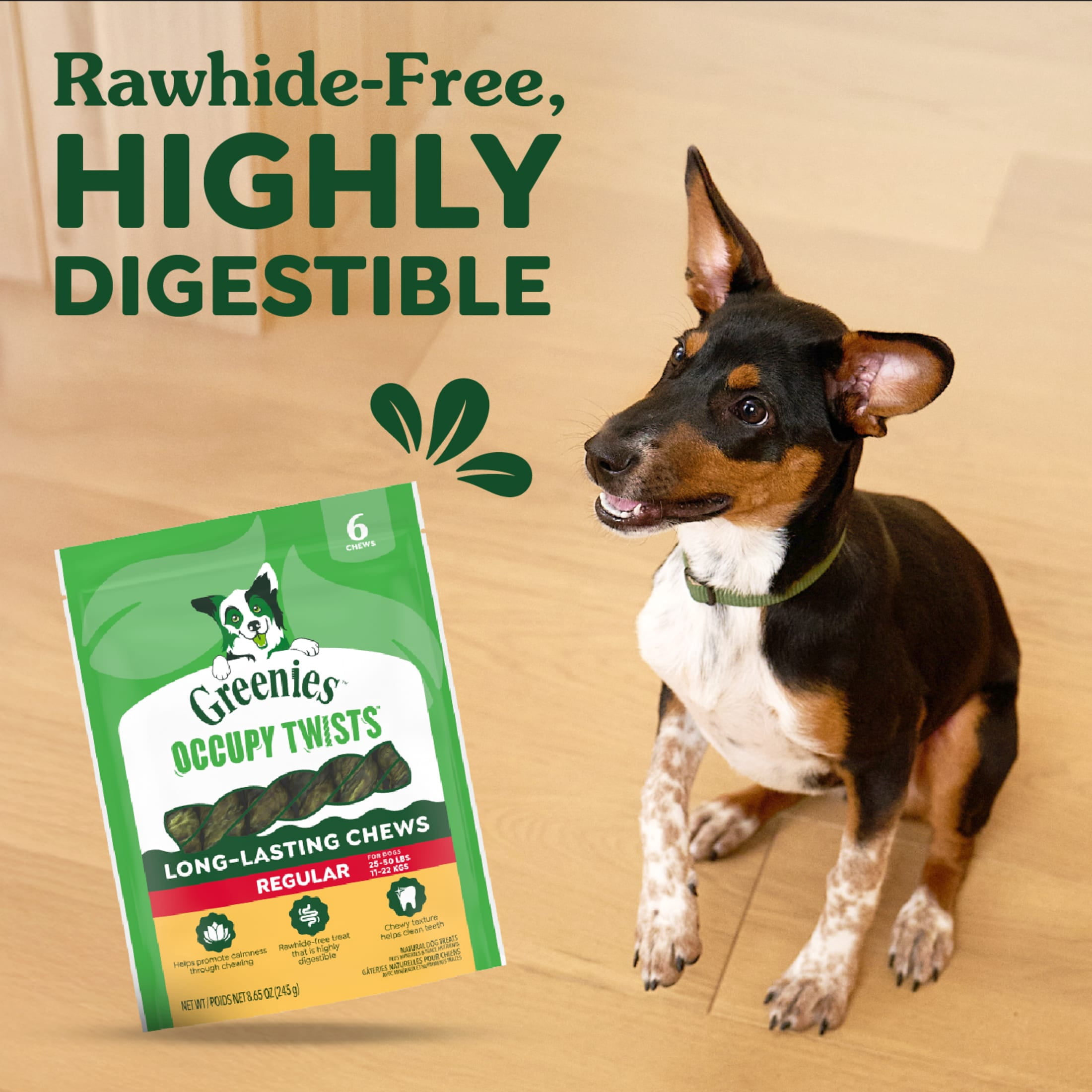 Greenies Occupy Twists Natural Dog Treats Regular Size, Chicken