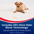 thumbnail image 4 of Quitamanchas Bissell Advantage InstaClean™ Pet 3322, paquete de 2, 4 of 6