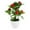 G, variant on Meitianfacai Simulation Of 7 Pachycarpus Fortunei Large Fruit Bonsai Living Room Coffee Table Decoration Photography Props Wine Cabinet Decoration