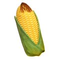 thumbnail image 2 of 17.7in Corn Plush Pillow, Realistic Stuffed Vegetable Doll with Soft Cotton Fabric, Cute Funny Simulation Toy for Kids Boys Girls, Cozy Hugging Cushion, Birthday Holiday Gift and Home Sofa Decoration, 2 of 6