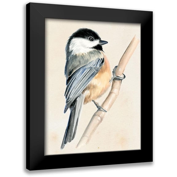 Parker, Jennifer Paxton 12x14 Black Modern Framed Museum Art Print Titled - Little Bird on Branch II
