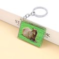 thumbnail image 1 of Capybara-Llavero acrílico creativo para mujer, accesorio colgante de dibujos animados de animales, Popular para bolso, llave de coche, regalos, 1 of 4