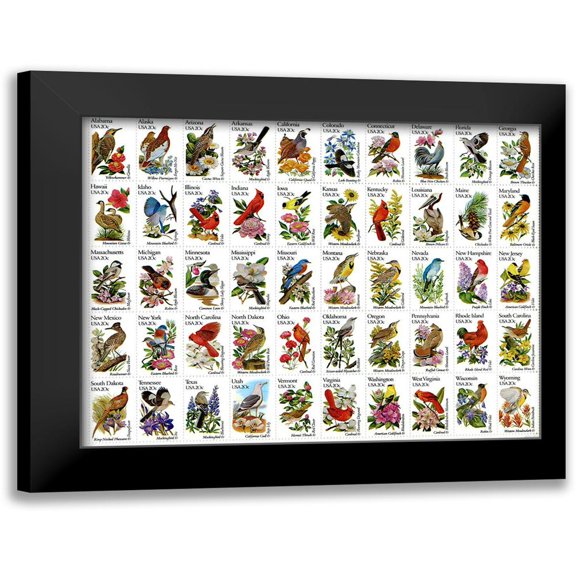 Vintage Apple Collection 14x12 Black Modern Framed Museum Art Print Titled - 50 Birds