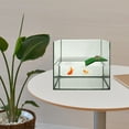 thumbnail image 3 of GAXIRE 2Set Turtle Resting Platform Acrylic Green for Aquarium Use Climbing, 3 of 6