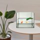 thumbnail image 1 of WEUVEB 2Ud Plataforma Multifuncional Para Reptiles Con Ventosas Para Acuario Y Terrario, 1 of 6
