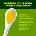 thumbnail image 4 of Polyphenol Rich Olive Oil Extra Virgin by Zest Delites, Up To 770 mg/kg High Polyphenol Olive Oil, Cold Pressed EVOO, Heart & Immunity Support, Single Origin, Gold Award, New Harvest, 16.9 fl oz, 4 of 8