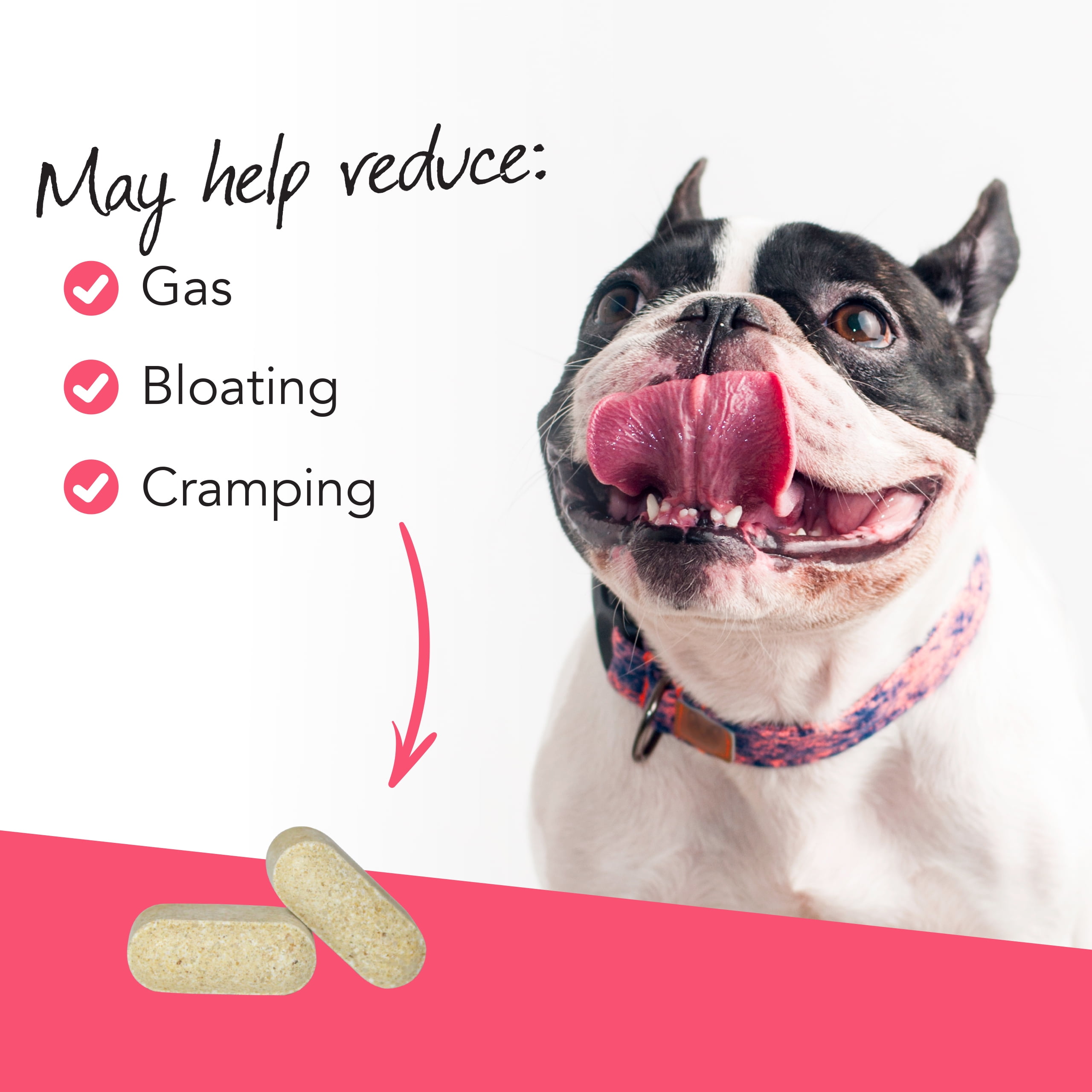 VetriScience Laboratories Vetri Probiotic BD, Digestive Health for Dogs, Chicken Flavor, 120 Tablets