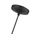 thumbnail image 6 of Livex Lighting, 41240-04, Avery, Mini Pendant, Black with Brushed Nickel Accent, 6 of 10