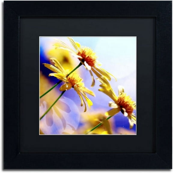 Trademark Fine Art "Sunny Days" Canvas Art by Beata Czyzowska Young Black Matte, Black Frame