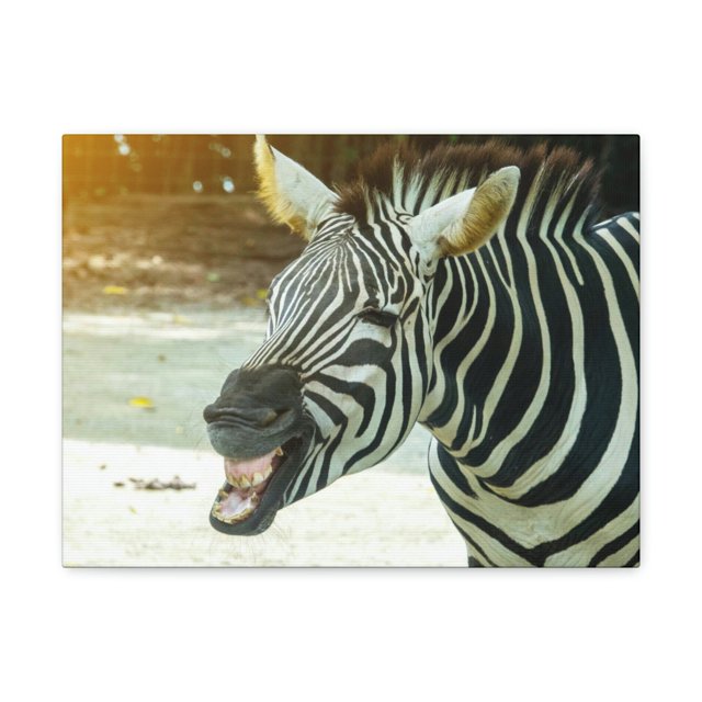 Funny Zebra Silly Zebra Scene Outside Wall Art Ready to Hang Unframed