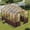 Dark Coffee + Wood + Plastic, variant on 6x8 FT Wooden Walk-in Greenhouse with 6mm Polycarbonate Panels, Adjustable Roof Vents, Lockable Door for Garden Backyard Patio Lawn, Wood Colour