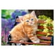 thumbnail image 1 of Cuadros Decorativos 5D bricolaje completo taladro diamante pintura gato sentado punto de cruz bordado pedrería mosaico Kits DQrwqpou Nuevos Originales, 1 of 8