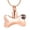 Rose, variant on Stainless Steel Dog Bone with Paw Print Pet Cremation Urns for Dog Ashes Cremation Mini Urns Pendant Necklace