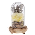 thumbnail image 2 of Exhibición Cloche Flor Inmortal Preservación Amarilla Amarillo, 2 of 8