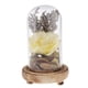 thumbnail image 2 of Tarros de Campana de Campana de Campana de Vidrio Transparente Decorativa Planta Amarillo Zulema Florero de preservación de flores, 2 of 8