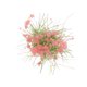 thumbnail image 1 of BRIGHTFUFU Flores Cluster Adhesivas Simuladas Para De DIY Multicolor Para Bodas Y Maquetas, 1 of 6