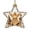 Clear1, variant on Glowing Star Christmas Story Ornaments 2D Acrylic Warm LED Festive Hanging Christmas Ornament for Christmas Tree Window Door (3.15 Inch)