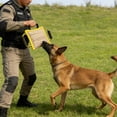 thumbnail image 1 of Almohada para mordeduras de perro, juguete para perros que muerden, entrenamiento de cachorros, yute, juguete interactivo portátil, ayudas para el amarillo, 1 of 8