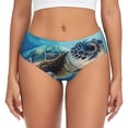 thumbnail image 1 of Fotbe Watercolor Turtle Calzones Estampados para Mujer – Ropa Interior de Algodón, Cómoda, Suave y Elástica-X-Small, 1 of 6